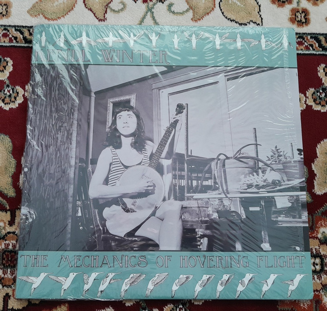Kendl Winter – The Mechanics Of Hovering Flight  VINYYLI