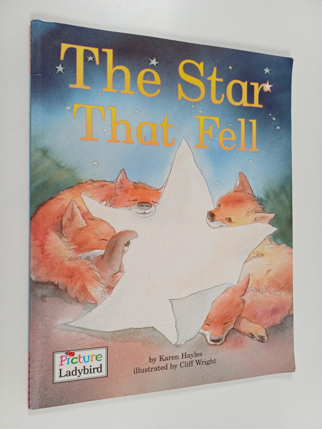 Karen Hayles : The Star that Fell