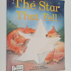 Karen Hayles : The Star that Fell - pikkukuva 1