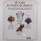 Malcolm Hillier : Suuri kuivakukkakirja : kuivakukkia ja ... - pikkukuva 2