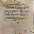 SOLOUHIN: KOLMAS METSÄSTYS sienestäjän muistiinpanoja miette - pikkukuva 2