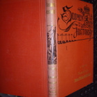 Wallin : Kuvauksia Suomen kansan esihistoriasta ( 1894 ) - pikkukuva 2