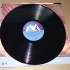 AGNETHA FÄLTSKOG WRAP YOUR ARMS AROUND ME LP - pikkukuva 5