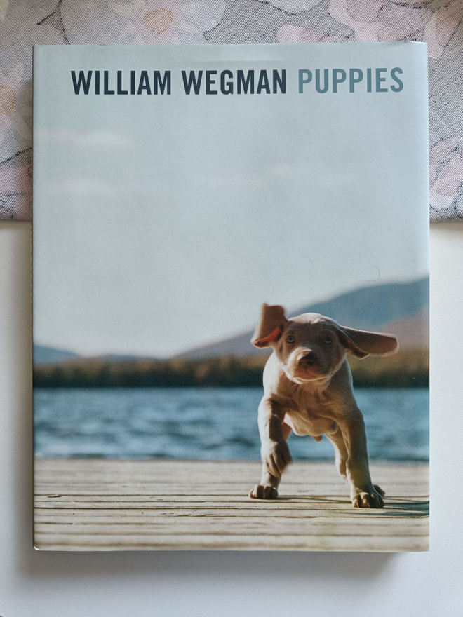 William Wegman: Puppies (koira)
