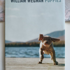 William Wegman: Puppies (koira) - pikkukuva 1