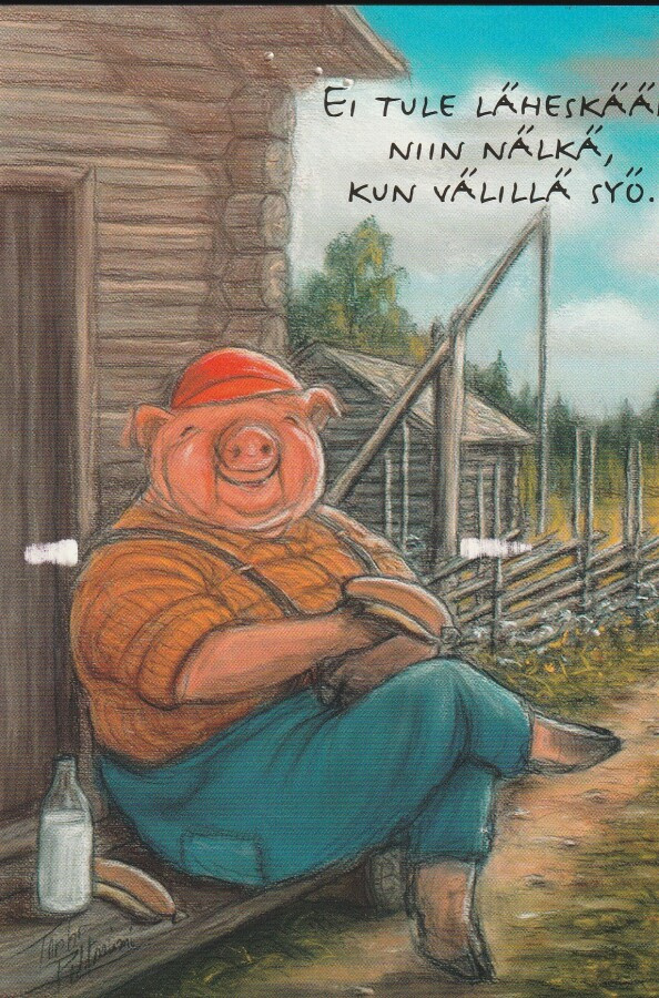 TERHO PELTONIEMI - RUOKATAUKO