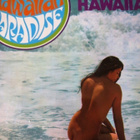16 Great Hawaiian Hits Vol. 1 LP - pikkukuva 3