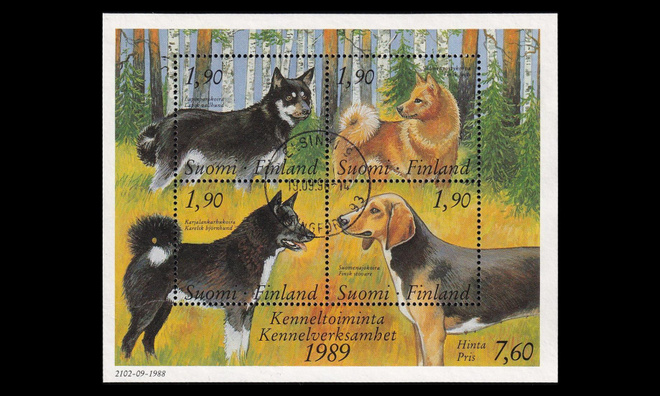 1075-8BL5 o Kenneltoiminta Helsin 19.09.90 (1989)