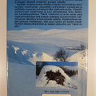 Kai-Veikko Vuoristo : Hankien kimallus - pikkukuva 2