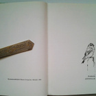 Nissinen Aila: Talitintin tornitalo, v. 1966. 1.p. HYVÄ! - pikkukuva 4
