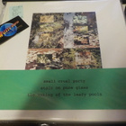 SMALL CRUEL PARTY - STAIN ON PURE GLASS EX+/M- LP BOX SET - pikkukuva 1