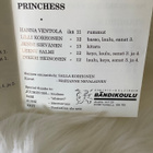 POHJOIS-HELSINGIN BÄNDIKOULU (STARGIRLS & PRINCHESS) - pikkukuva 4