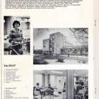 Vilkku n:o 1 1982 Tampereen kaupungin tiedotuslehti - pikkukuva 3