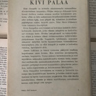 Eeva Joenpelto - Kivi palaa (sid.) - pikkukuva 2