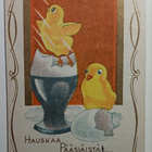 Tipu katsoo toisen tipun kuoriutumista, p. 1951 - pikkukuva 1