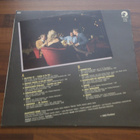 SOLISTIYHTYE SUOMI - RILLUTTELE YÖ ( LP . VINYYLI ) - pikkukuva 2
