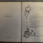 Walt Disney: Bambi 1947 - pikkukuva 3