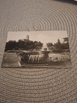 8Z Kultaranta