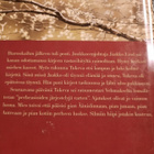 Laila Hietamies : koivu ja tähti - pikkukuva 2