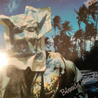 10 CC: Bloody Tourits (LP) - pikkukuva 1