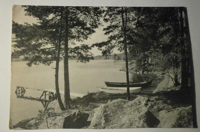 Orivesi, Pitkäjärvi, Purnu 77, rantaa, vene, laituri, ei p.