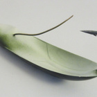 Rapala Minnow spoon 7cm - pikkukuva 2