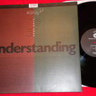 SLEEPING DOGS WAKE - Understanding - LP 1989 rock EX - pikkukuva 2