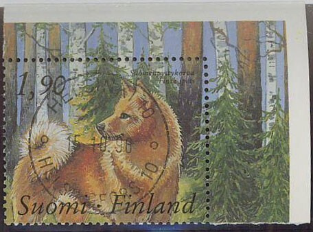 1989 Suomen pystykorva loisto