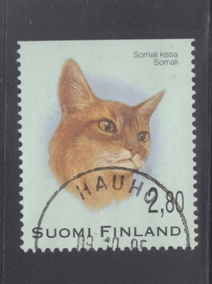 1995 Kissavihosta loistoleimainen. (6)