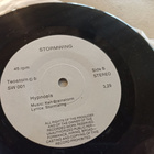 7" Stormwing - pikkukuva 3