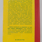 Antero Viljanen : Leikki kaukana - pikkukuva 2