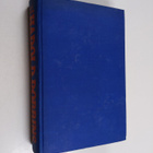 Harold Robbins : Suuri unelma - pikkukuva 1