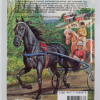 Merja Jalo : Mustan hevosen salaisuus - pikkukuva 2