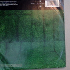 BANDERAS :: MAY THIS BE YOUR LAST SORROW : VINYYLI  7"  1991 - pikkukuva 2