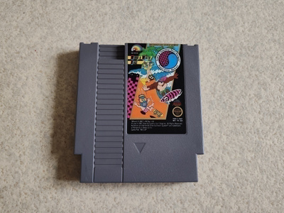 NES: Town & Country Surf Designs: Wood & Water Rage (USA)