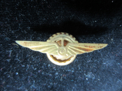Lentomekaamikon rintamerkki