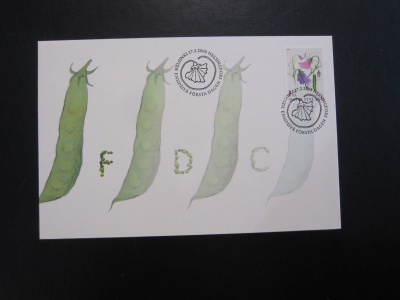 FDC 2008 Hajuherne