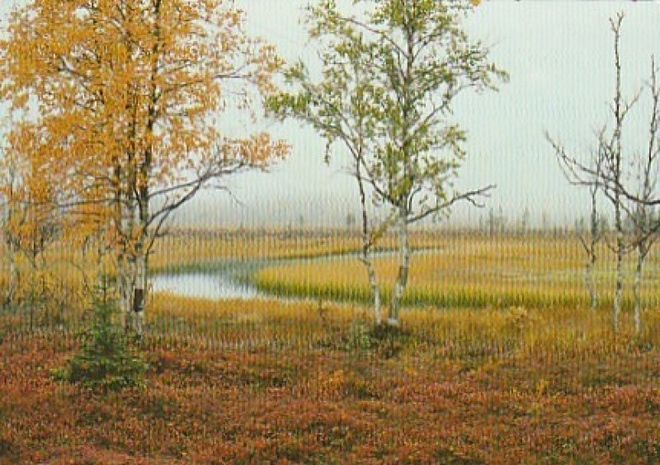 Postikortti, LAINIOJOKI