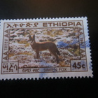 Etiopia 1987: Simien kettu - pikkukuva 5