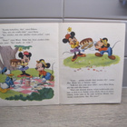 TAMMEN HOPEISET KIRJAT, MIKKI HIIREN AUTORETKI no 3, v. 1962 - pikkukuva 3
