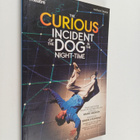 Mark Haddon ym. : The Curious Incident of the Dog in the ... - pikkukuva 1