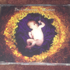 THE CRANBERRIES - SALVATION - CD SINGLE - pikkukuva 1