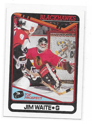 1990-91 Topps #214 Jimmy Waite Chicago Blackhawks MV RC
