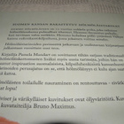 Mandart Hemmo Hölmöläinen Täältä tulee Hemmo Hölmöläinen - pikkukuva 2