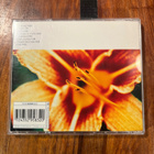 Joonas Kasurinen Trio - Beendays cd - pikkukuva 2