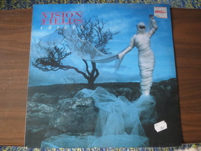 Vision Fields: Voices LP