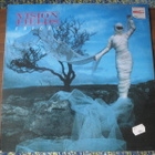 Vision Fields: Voices LP - pikkukuva 1