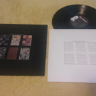 COLIN NEWMAN - A-Z LP - pikkukuva 1