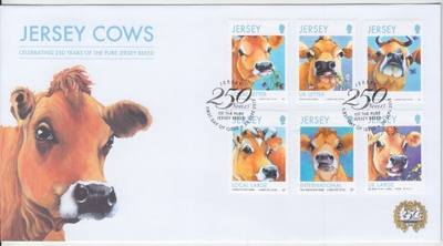 Jersey lehmiä FDC