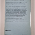Madeleine Brent : Tuulentavoittelijan morsian - pikkukuva 2